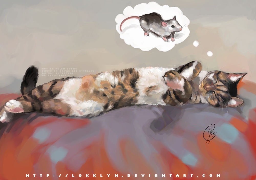 cat_and_mouse_by_lokklyn.jpg