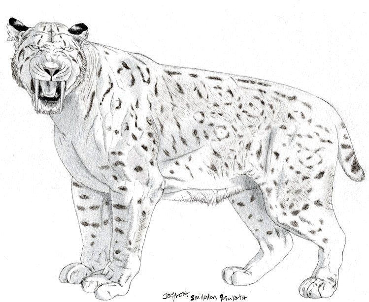 saber toothed cat coloring pages - photo #34