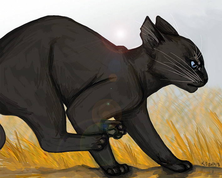 Crowfeather by Ospreyghost13