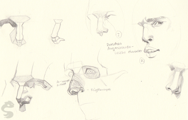 [Image: 10052015_study_nosetradtiional_by_cyprin...8sux20.jpg]