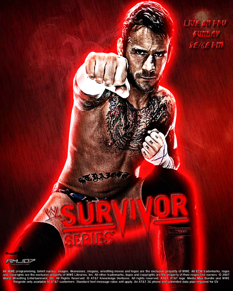 Image result for survivor series 2013 poster