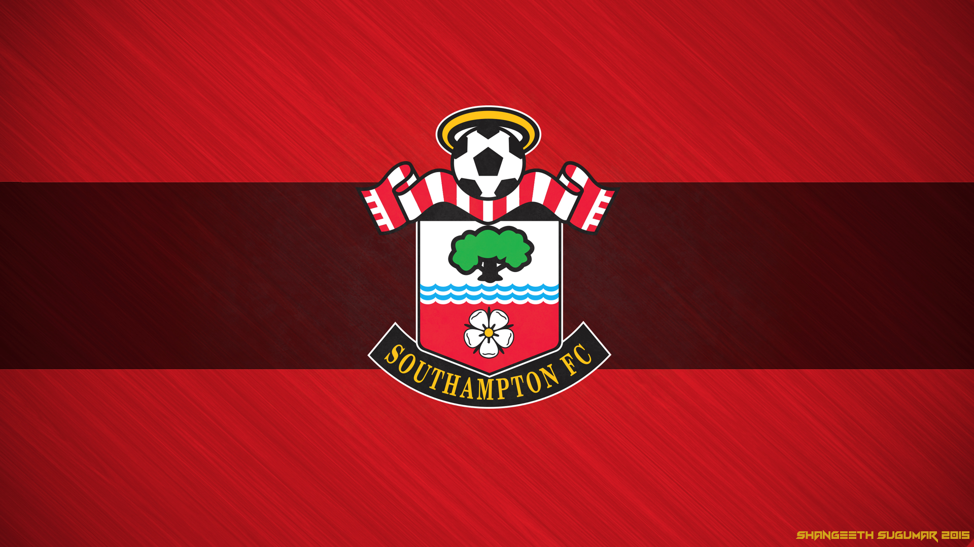 Image result for southampton fc