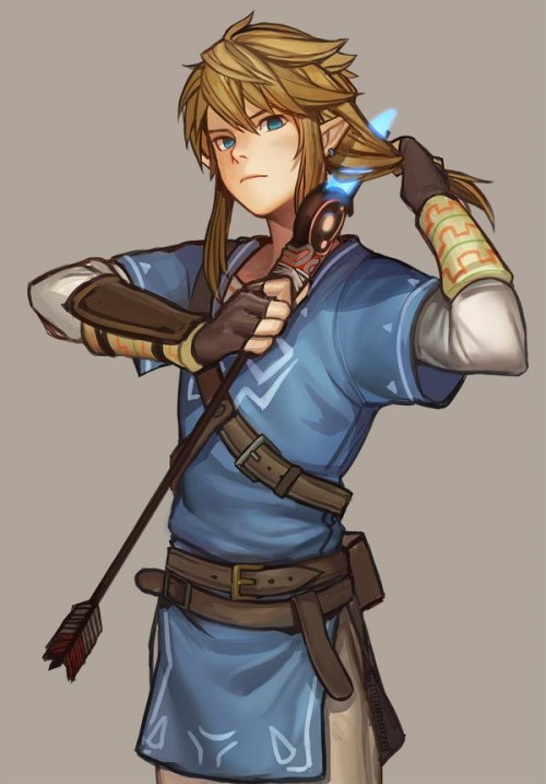 the_legend_of_zelda_hyrule_warriors__link_by_theligth-d8covh8.jpg