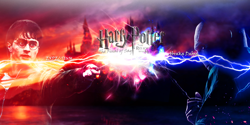 harry_potter_wallpaper_by_tomke99-d564q7h.png