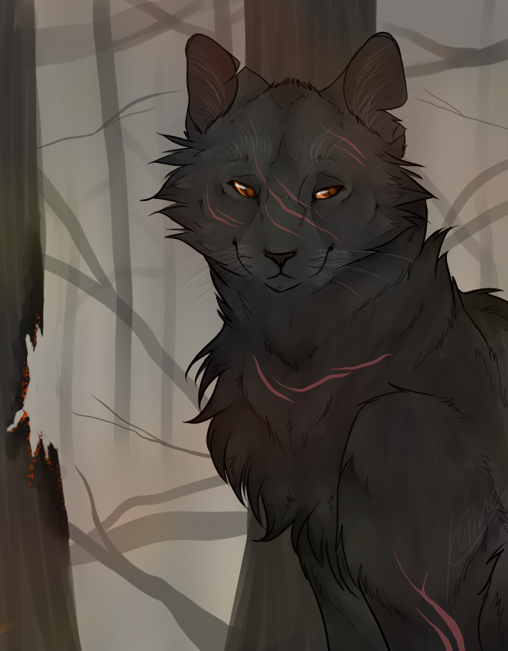 yellowfang_by_kimi_celine-d8t6dzx.png