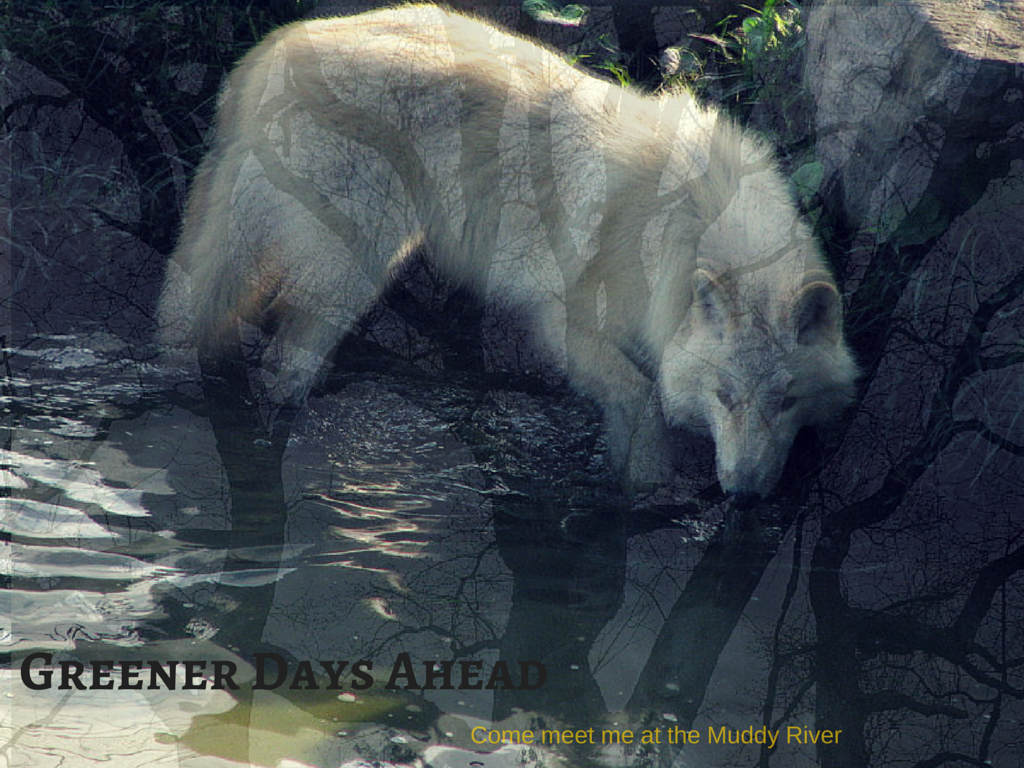 http://orig02.deviantart.net/a1c5/f/2015/125/3/3/come_meet_me_at_the_muddy_river_by_7wild7at7heart7-d8sbrwz.png