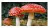 amanita_muscaria_stamp_by_oceanstamps-d8hdwmv.png