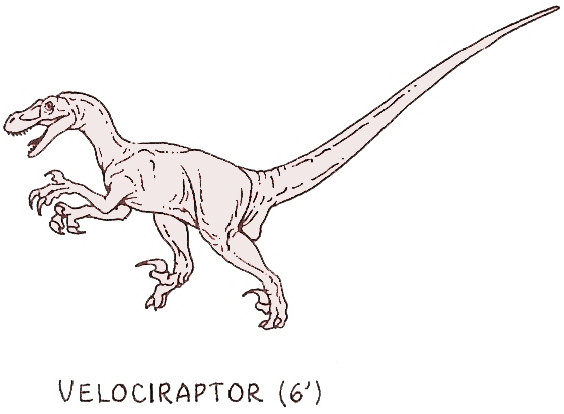 velociraptor_by_ponchofirewalker01.jpg