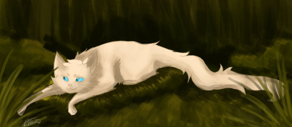 Daisy .:Warrior Cats:. by liracal