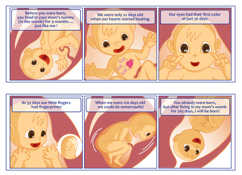 free clipart baby in womb - photo #17