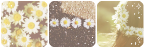 pushing_daisies___deco_divider_by_thecandycoating-dagekvy.png