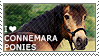 I love Connemara Ponies by WishmasterAlchemist