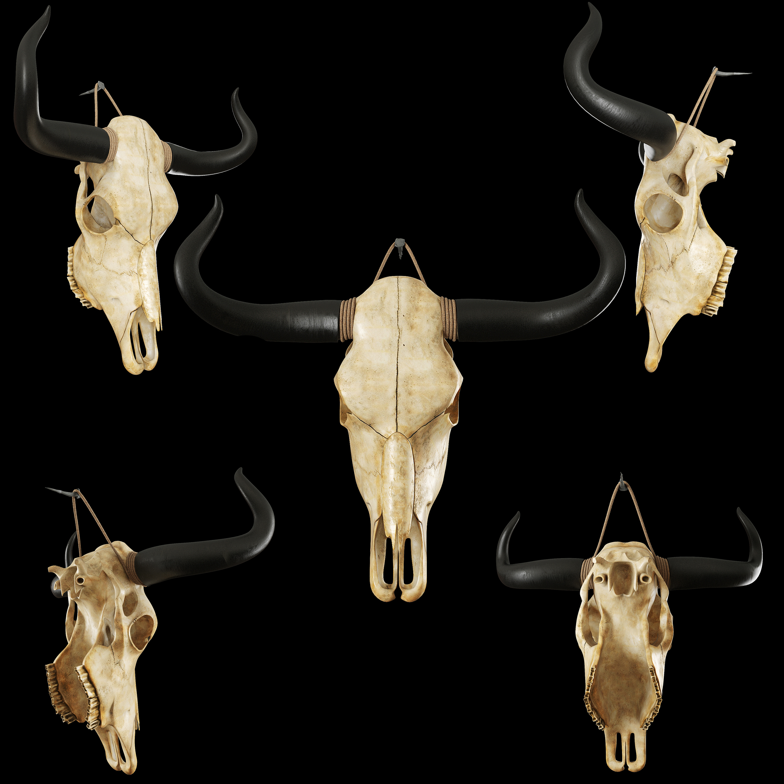 Bull skull by HorheSoloma on DeviantArt