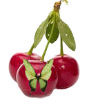 Cherry by vafiehya