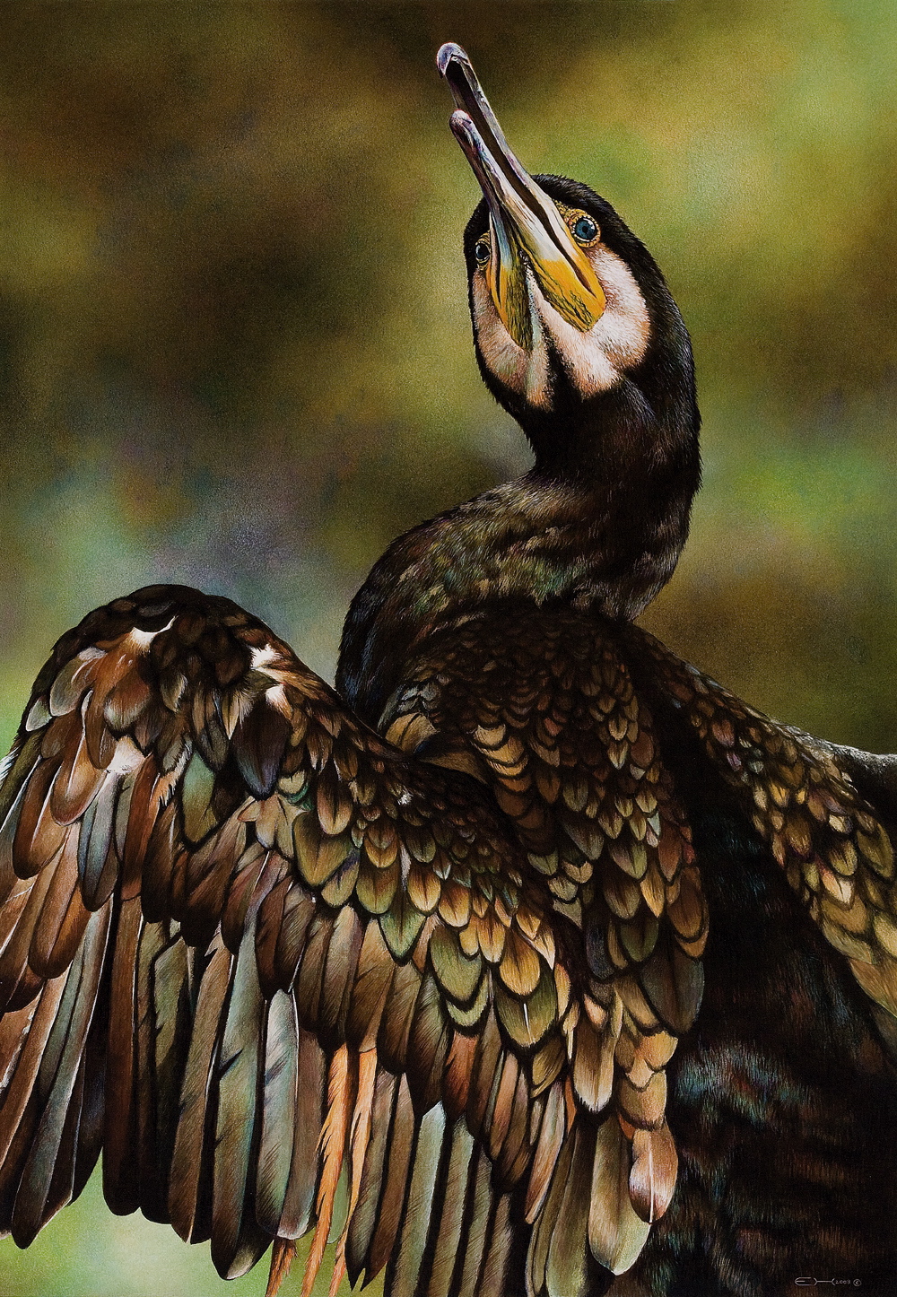 Great Cormorant Painting by EsthervanHulsen on DeviantArt