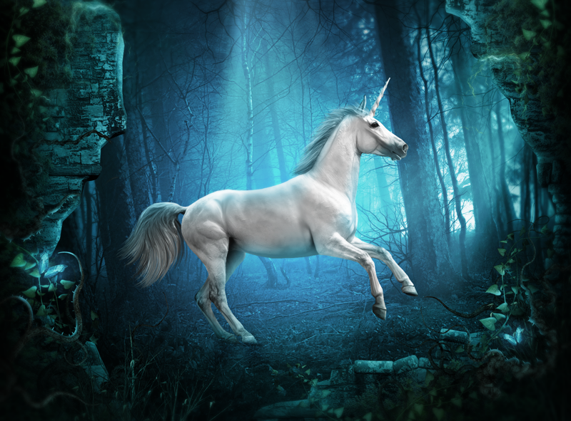 the_unicorn_by_whendell-d4ld7xi.png