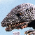 Gorosaurus Logo by Silverfish129