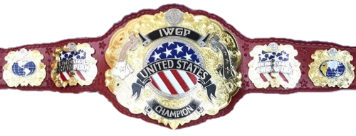 Professional wrestling in the United States
