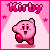SBB Icons (Kirby)