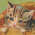 Loveable Kitten Icon