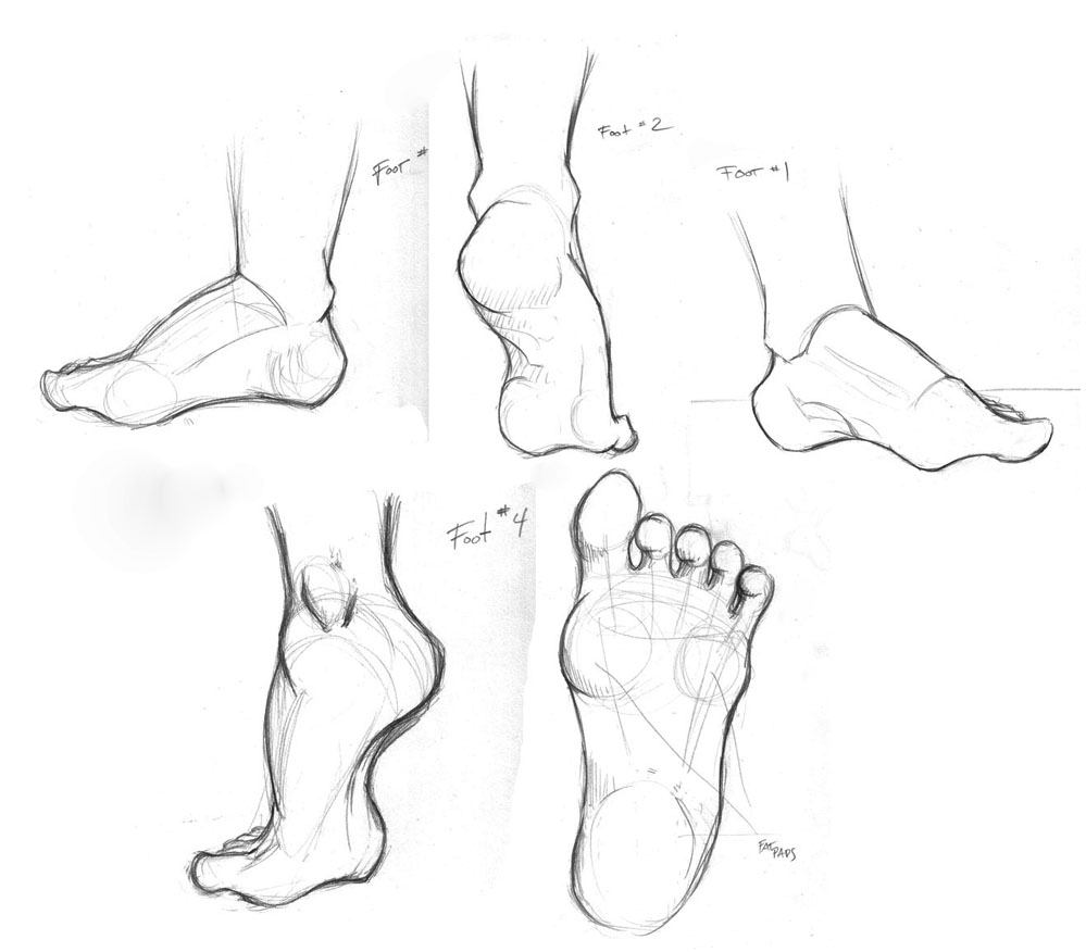 Foot Study by TwilightsDon on DeviantArt