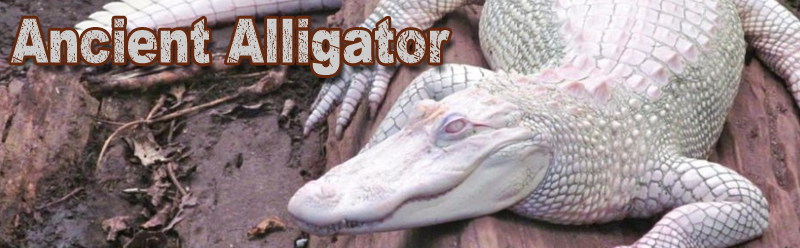 ancient_alligator_by_irrwahn-dai7fdk.png